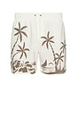 view 1 of 6 Poolside Stretch Shorts in Ivory