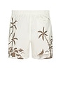 view 2 of 6 Poolside Stretch Shorts in Ivory