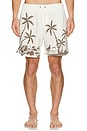 view 5 of 6 Poolside Stretch Shorts in Ivory
