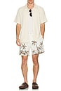 view 6 of 6 Poolside Stretch Shorts in Ivory