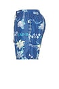 view 3 of 4 Ponji Swim Shorts in Navy
