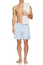 view 4 of 4 Ponji Swim Shorts in Light Blue
