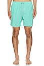 view 3 of 3 Vintage Wash Volley Swim Short in Teal