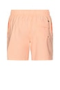 view 2 of 4 Vintage Wash Volley Swim Shorts in Peach
