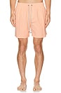 view 3 of 4 Vintage Wash Volley Swim Shorts in Peach