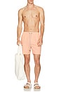 view 4 of 4 Vintage Wash Volley Swim Shorts in Peach