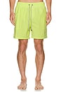 view 3 of 4 Vintage Wash Volley Swim Shorts in Lime