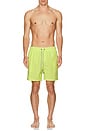 view 4 of 4 Vintage Wash Volley Swim Shorts in Lime