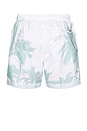 view 2 of 4 Ponji Swim Short in White