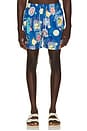 view 1 of 4 Ponji Swim Volleys in Blue