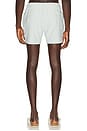 view 2 of 5 Stripe Knit Shortie Volley in Sage