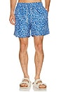 view 1 of 5 TRUNKS NATACIÓN PONJI in Blue