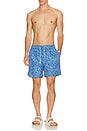 view 3 of 5 TRUNKS NATACIÓN PONJI in Blue