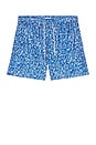 view 4 of 5 TRUNKS NATACIÓN PONJI in Blue