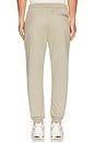 view 3 of 5 JOGGER PONTO in Truffle Heather
