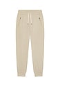 view 5 of 5 JOGGER PONTO in Truffle Heather