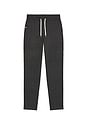 view 5 of 5 PANTALON PONTO in Charcoal Heather