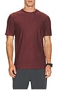 view 1 of 4 CAMISETA STRATO in Fig Heather