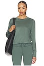 view 1 of 4 Daydream Crew Long Sleeve in Agate Green