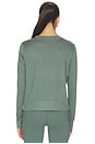view 3 of 4 Daydream Crew Long Sleeve in Agate Green