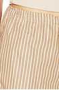 view 6 of 6 Celeste Stripe Short in Canyon Stripe