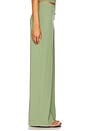 view 3 of 6 Pointelle Lounge Pant in Sage