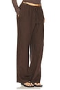 view 2 of 6 PANTALON DELPHINE in Chestnut