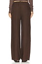 view 4 of 6 PANTALON DELPHINE in Chestnut