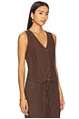 view 2 of 4 Violette Vest in Chestnut