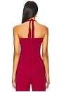 view 3 of 4 Pointelle Halter Top in Sundried Tomato
