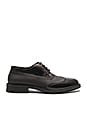 view 1 of 5 Vivienne Westwood Lace Up Brogue in Black & Black