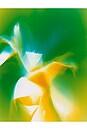 view 6 of 6 I Am Verdant Eau De Parfum in 