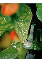 view 2 of 5 I Am Verdant Eau De Parfum in 