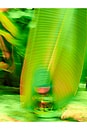 view 4 of 5 I Am Verdant Eau De Parfum in 