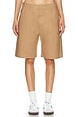 view 1 of 5 Cargo Shorts in Camel