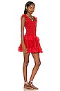 view 2 of 4 Alfresco Ruby Mini Dress in Ruby Red