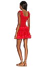 view 3 of 4 Alfresco Ruby Mini Dress in Ruby Red