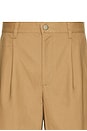 view 3 of 6 The Pleated Short in Brown