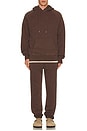 view 5 of 4 The Pullover Hoodie in brown