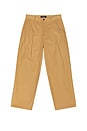 view 1 of 5 Wide Leg Pleated Trouser in Brown