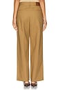 view 4 of 5 Wide Leg Pleated Trouser in Brown