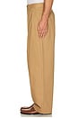 view 5 of 5 Wide Leg Pleated Trouser in Brown