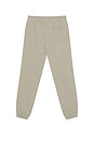 view 2 of 5 The Fleece Jogger in Heather Grey