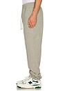 view 4 of 5 The Fleece Jogger in Heather Grey