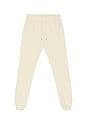 view 1 of 5 The Fleece Jogger in Natural