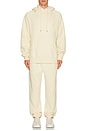 view 5 of 5 The Fleece Jogger in Natural