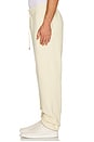 view 5 of 5 The Fleece Jogger in Natural