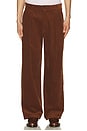 view 3 of 5 Wide Leg Pleated Corduroy Pant in Brown