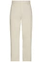 view 1 of 5 Relaxed Nylon Pleated Pant in Light Beige