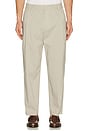 view 3 of 5 Relaxed Nylon Pleated Pant in Light Beige